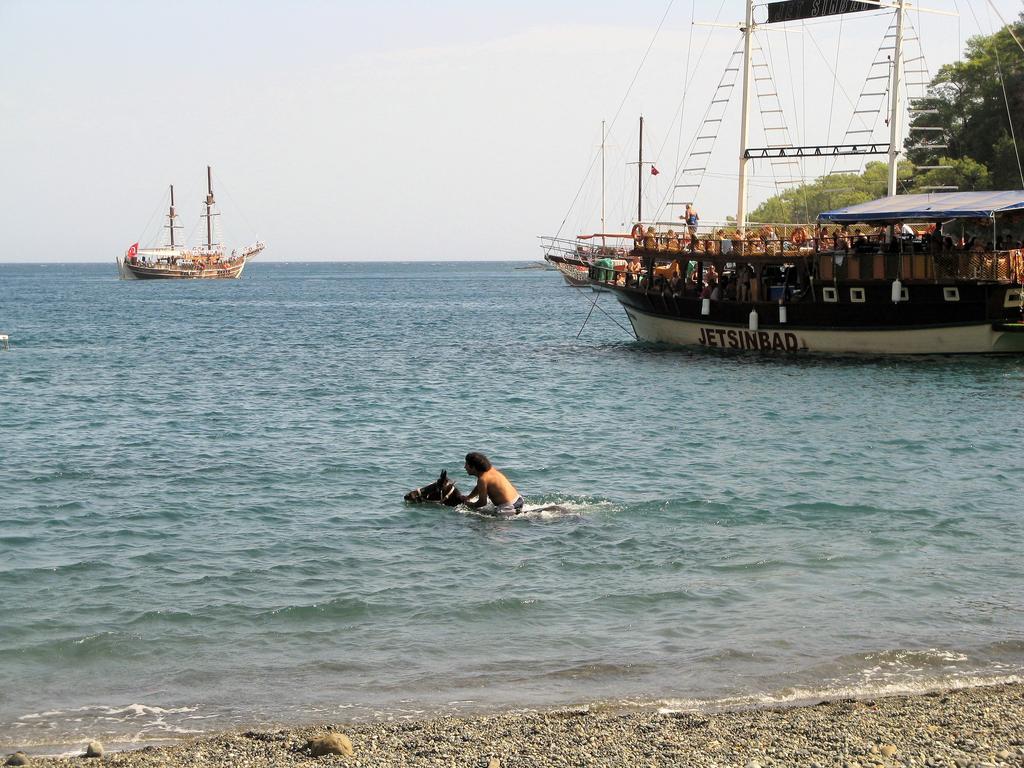 فندق بيرك آند نيتشر كمر المظهر الخارجي الصورة